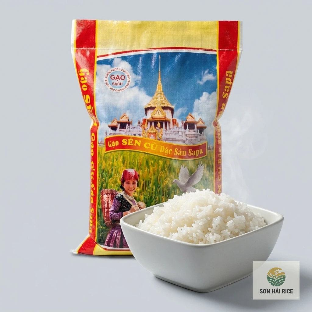 Ảnh sản phẩm 1